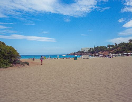 Cala Llenya Ibiza A Perfect Beach For Families